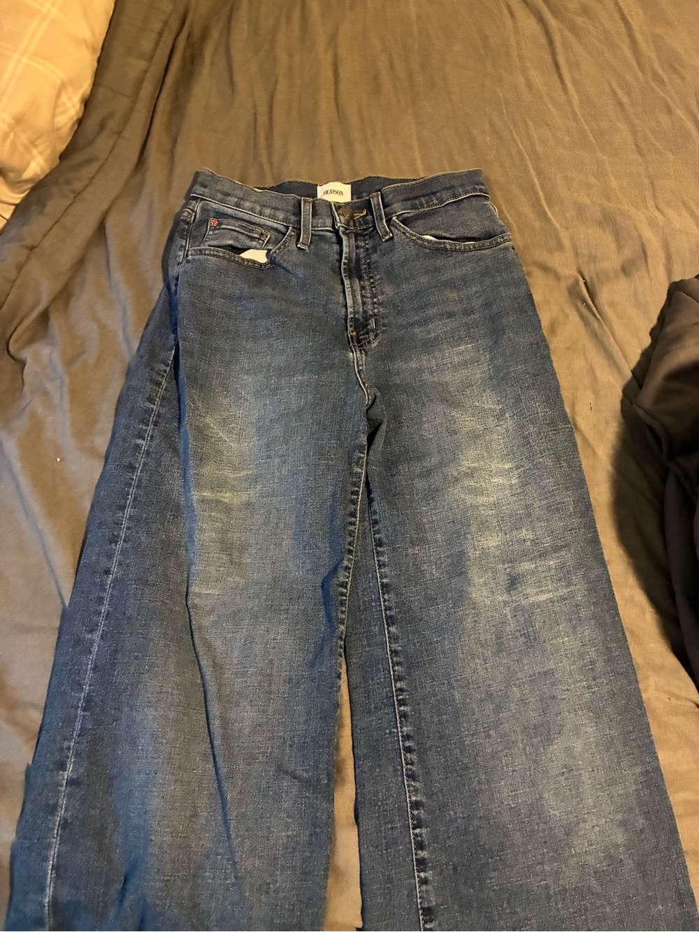 Hudson Jeans Wide-Leg Denim in Medium Blue Wash